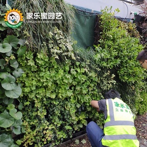 Vườn Bee Dọc Vườn Trang Trí Nội Thất Faux Nhà Máy Gỗ Hoàng Dương Hàng Rào Backdrop Nhân Tạo Bất Nhà Máy Tấm Cỏ Màu Xanh Lá Cây Tường - Product Image 6