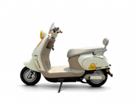 Scooter électrique rétro mignon en forme de canard, moteur 800W, 60V, longue autonomie, vélo électrique pour adultes pour les trajets en ville