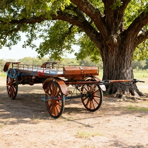 Classic Limousines Beautiful Funeral Car Luxury Funeral Vehicle Vintage Hearse Funeral Car Hearse for Sale - Product Image 3
