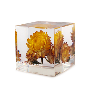 Gerbera jaune véritable, <span class=keywords><strong>Helichrysum</strong></span> <span class=keywords><strong>Bracteatum</strong></span>, spécimen de fleur séchée dans un cube de résine, décoration de bureau à domicile - Product Image 4