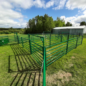 Pannelli per Recinzione Bestiame Resistenti da 12 Piedi, Vendita Calda negli USA, per Recinti di Bovini e Pannelli per Recinti Circolari per Cavalli - Product Image 2