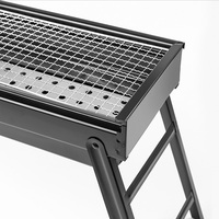 Grille de barbecue pour pique-nique en plein air Grille de barbecue pliante portable en acier inoxydable