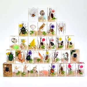 Sáng Tạo Nghệ Thuật Nhựa Thủ Công Mỹ Nghệ Bất Côn Trùng Mẫu Paperweight Động Vật Khác Nhau Mô hình Bảo Quản Trong Nhựa Bộ Sưu Tập Đồ Chơi - Product Image 2
