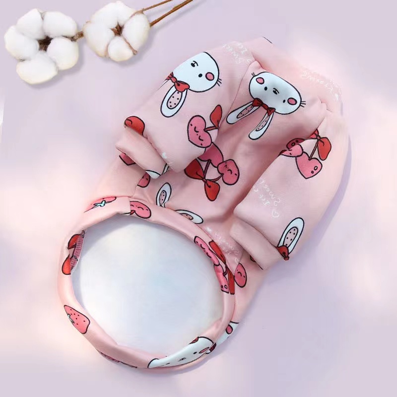 Spring Autumn Winter Cartoon Pet Apparels Sustainable XS S M Size