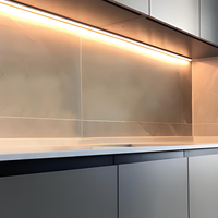 Cabinet lumière profilé en aluminium LED bande lumineuse canal avec diffuseur armoire cuisine placard maison LED éclairage linéaire