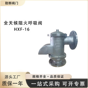 Válvula antillamas Hxf 4 de acero fundido y acero inoxidable con conexión de brida de 2 pulgadas para líquidos corrosivos - Product Image 4