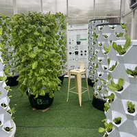 Système de Tour Hydroponique Verticale d'Intérieur 65L, 14 Niveaux, 112 Trous, pour la Culture de Légumes