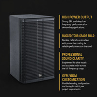 Haut-parleur portable professionnel Pro Audio AD-12 400W RMS, son 12 pouces, passif, avec port arrière pour KTV et bars