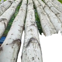 Effets d'éclairage uniques hautement translucides, 1m 2m 3m, troncs d'arbres artificiels en verre personnalisés, LED de Noël IP65 pour extérieur