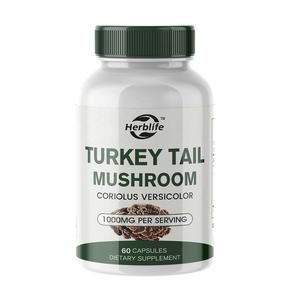 OEM ODM Venda Quente Suplementos Herbal Coriolus Versicolor Extrato Turquia Cauda Cogumelo Cápsulas - Product Image 1