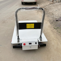 Carretilla Elevadora Eléctrica Plegable con Carga/Descarga Automática, Capacidad de Carga de 300 kg, Construcción Metálica, OEM Disponible