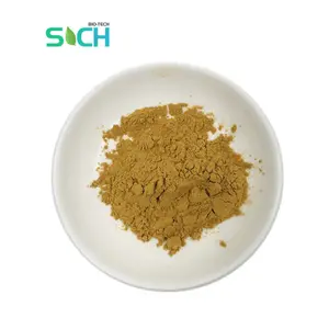 Bán buôn số lượng lớn psidium guajava L. Ổi lá powder10: 1 ổi lá chiết xuất