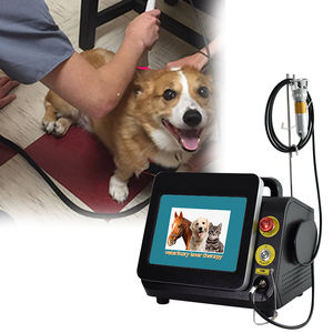 <span class=keywords><strong>Laser</strong></span> Daya Tinggi Kelas <span class=keywords><strong>IV</strong></span> <span class=keywords><strong>Laser</strong></span> Peralatan Terapi Hewan <span class=keywords><strong>Laser</strong></span> 980nm 30W 60W untuk Menghilangkan Rasa Sakit Kucing Anjing Terapi Kuda - Product Image 1