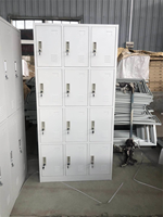Vente en gros de casiers en acier à 12 portes avec serrure à clé, durables et imperméables pour une utilisation au bureau - Armoire de rangement pour vêtements