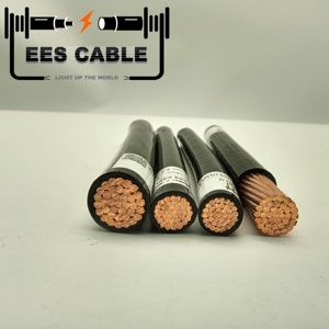 Cavo Elettrico THHN THWN-<span class=keywords><strong>2</strong></span> in Rame 1/<span class=keywords><strong>0</strong></span> <span class=keywords><strong>2</strong></span>/<span class=keywords><strong>0</strong></span> 3/<span class=keywords><strong>0</strong></span> 4/<span class=keywords><strong>0</strong></span> AWG, Cavo Elettrico Intrecciato per Edilizia 600V, Rivestito in Nylon e Isolato in PVC - Product Image 4