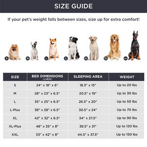 <span class=keywords><strong>Coussin</strong></span> <span class=keywords><strong>de</strong></span> canapé-lit pour <span class=keywords><strong>chien</strong></span> <span class=keywords><strong>de</strong></span> compagnie gris <span class=keywords><strong>haut</strong></span> <span class=keywords><strong>de</strong></span> <span class=keywords><strong>gamme</strong></span> en velours pour sommeil profond avec fond antidérapant. - Product Image 6