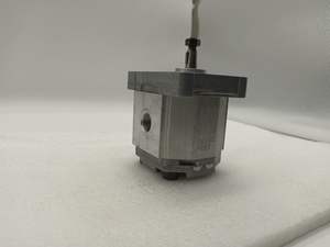 ปั๊มเกียร์ SNP2NN/8.0RN03CAP3B7B5NNNN <span class=keywords><strong>nnnnnn</strong></span> SNP3NN/055RN07SA P1A5A4NNNN nnnnnnn ปั๊มไฮดรอลิก SNM3NN/044BN07SAM6A4A4NNNN/<span class=keywords><strong>nnnnnn</strong></span> - Product Image 5