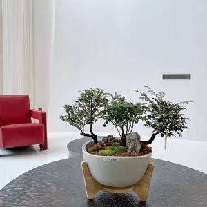 Ceramic Flower Pot with Wood Stand Minimalist Indoor Planter for Green Plants Circular Design Glazed Finis - Product Image 1