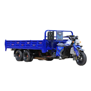 Xe ba bánh chở hàng động cơ 9 bánh, 250CC, 300CC, 350CC, OEM/ODM, hai cầu sau, kiểu xe máy tự đổ - Product Image 4