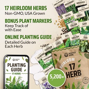 Paquet de variété d'herbes culinaires Paquets de légumes biologiques verts de jardin Herbes pour la plantation jardin intérieur ou extérieur - Product Image 3