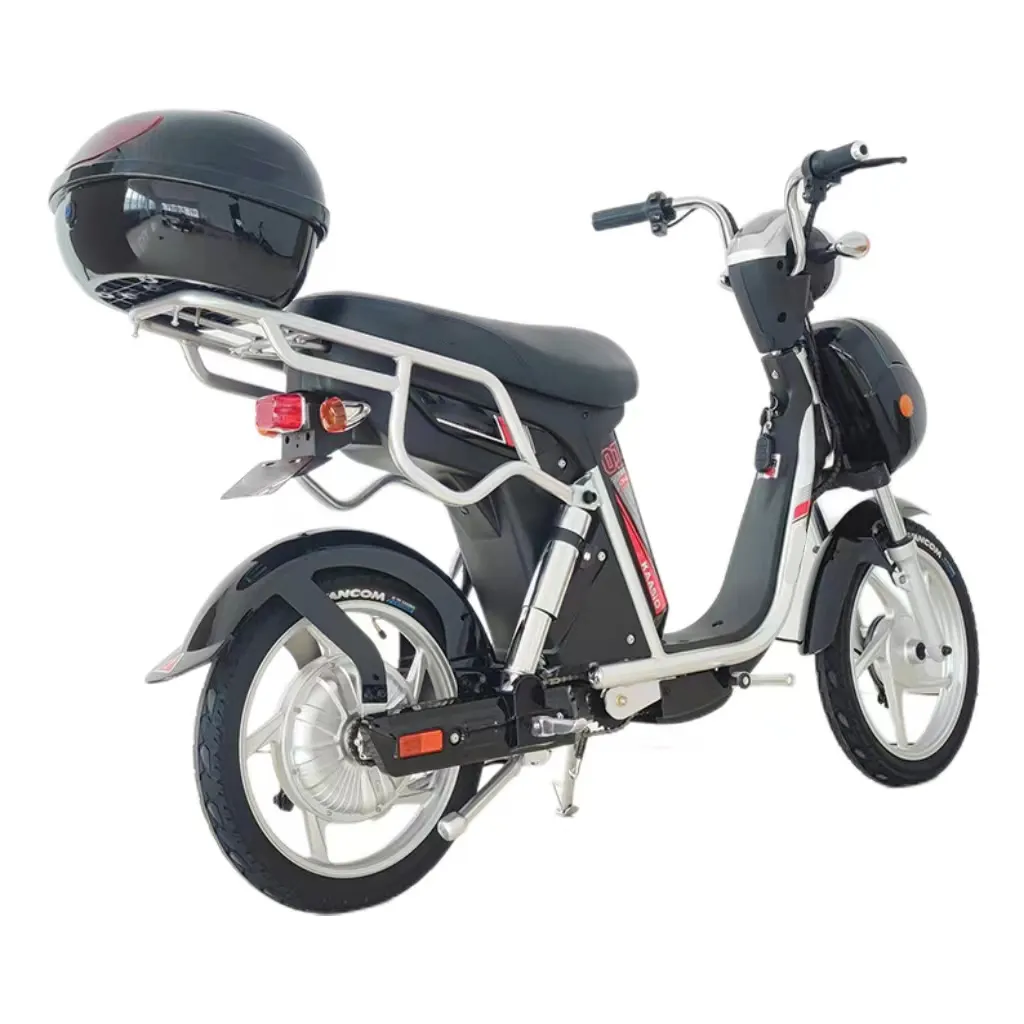 페이지 전기 자전거 e 이중 바퀴 화물 도시 자전거 장거리 오토바이 2 시트 bicicleta 전기 하이 퀄리티 ebike