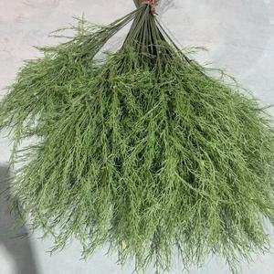 <span class=keywords><strong>Venta</strong></span> al por mayor de plantas artificiales de aspargos y helechos, estilo bosque, de plástico, para arreglos florales de boda al aire libre. - Product Image 4