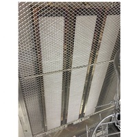Rôtisserie rotative à gaz en acier inoxydable Rôtissoire Poulet Cuiseur Machine Haute Productivité Nouvel État