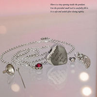 Collier Pendentif Cœur Personnalisé en Acier Inoxydable Argenté, Moderne, Écologique, Durable, Réutilisable, Étanche, pour Cendres d'Animaux de Compagnie, Souvenir Mémorial