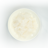 Lasagne biologique pâtes de konjac aliments cétogènes à base de plantes nouilles de konjac bio nourriture casher bonne pour la diète nourriture asiatique sans gluten