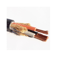 Câble électrique flexible étanche noir à 3 conducteurs de 20 mm, personnalisé en gros pour véhicules électriques
