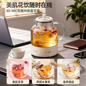 Olla de Salud Zhigao, Mini Tetera Automática de Acero Inoxidable 304, Vaporera de Vidrio Aislado, Olla para Guisos, Hervidor para Uso en Oficina - Product Image 5