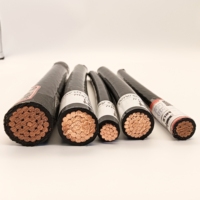 Cable THHN 250MCM 350MCM 500MCM 750MCM 1000MCM Conductor de cobre, aislamiento de PVC 600V Cable de construcción para cableado eléctrico