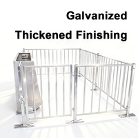 Cage pour truies et porcs, galvanisée à chaud, équipement d'élevage robuste, système d'élevage porcin