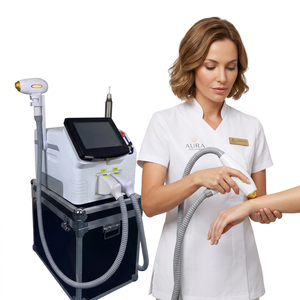 Système laser esthétique de bureau 2-en-1 à prix d'usine, 1064 nm pour les tatouages foncés, 532 nm pour les tatouages rouges, 808 nm pour l'épilation permanente - Product Image 1