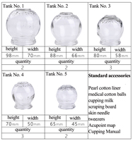 Ensemble de ventouses sous vide pour thérapie par ventouses Dispositif de massage Différentes tailles Équipement de ventouses en verre traditionnel