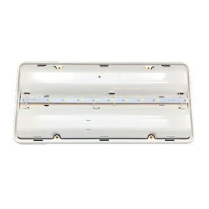 Luz de Emergencia LED de 400 Lúmenes, 1 Hora de Autonomía, IP65, 230V, Montaje en Pared, Luz Blanca - Product Image 2