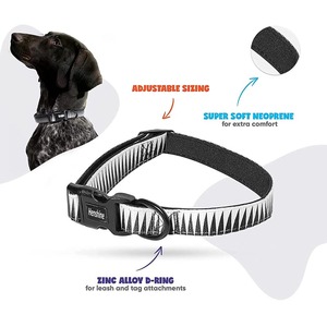 Conjunto de correa para <span class=keywords><strong>Collar</strong></span> de perro con diseño personalizado, hebilla de <span class=keywords><strong>Metal</strong></span> para entrenamiento, venta al por mayor de fábrica, Oem - Product Image 3
