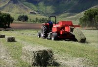 Hacheuse et presse à balles de foin de haute qualité, faible consommation, idéale pour un emballage agricole efficace, garantie d'un an incluse