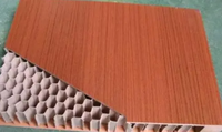 MGO FRP EPS XPS OSB Matériau isolant en laine de roche Panneaux sandwich isolants pour murs de bâtiment Machine à fabriquer des panneaux sandwich SIPs