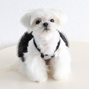 Nouvelle robe jupe bouffante noire avec nœud pour chien, collection printemps-été - Product Image 5