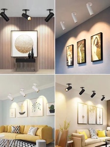 2024 Châu Âu COB dẫn ánh sáng tại chỗ 110-265V 10W Mini 20W 30W 40W hiện đại theo dõi hệ thống chiếu sáng 15 24 độ Chùm tia góc nhôm - Product Image 5