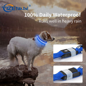 밤 <span class=keywords><strong>LED</strong></span> 번쩍이는 개 목걸이 2 선 광섬유 개 목걸이 빛에 어두운 개 안전 애완 동물 장치에 있는 유행 놀 - Product Image 6