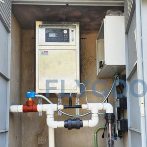 Flygoo fabbricazione cinese 50g generatore di ozono depuratore di acqua per la soluzione di acqua - Product Image 4