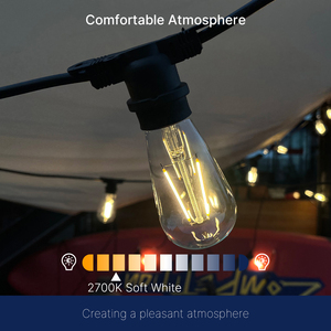 หลอดไฟ <span class=keywords><strong>LED</strong></span> ฟิลาเมนต์ 2W ST19 สำหรับใช้ภายใน/ภายนอกอาคาร ขั้ว E26 แสงวอร์มไวท์ 2700K สไตล์เอดิสัน เหมาะสำหรับบ้านพักอาศัย สวน/สนามหญ้า ใช้ไฟ AC  วัสดุแก้ว - Product Image 3