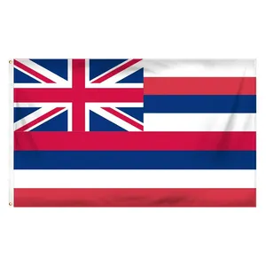 Produit promotionnel 3x5ft 100% polyester extérieur double face usa 50 drapeau d'état personnalisé drapeau d'état hawaii