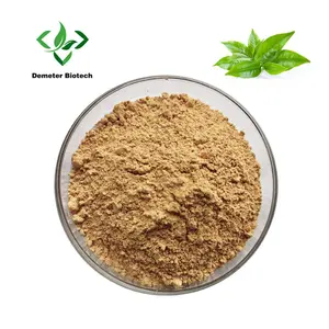 Natural 95% Polyphenols 40% EGCG Powder Green Tea Extract