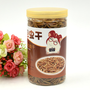 Crown Asia <b>Dried</b> <b>Mealworms</b> 750ml Can For Hamsters Small Animal Feeder Reusable Plastic Container - Product Image 1