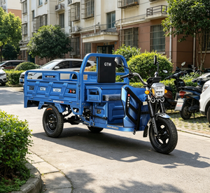 Triciclo Eléctrico de Carga, Tipo King, Volquete, Agrícola, Fabricantes Transfronterizos, Carrocería Abierta, Batería de 12V - Product Image 4