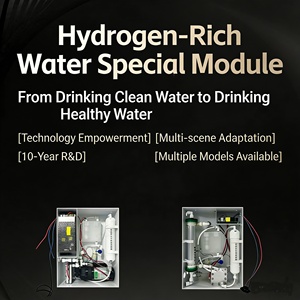 Module d'eau enrichie en hydrogène avancé pour distributeur d'eau, usage commercial et domestique, eau riche en hydrogène dédiée, 5L/min, 3000PPB - Product Image 5