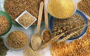 Suministro de China NPK 18-4-18 Fertilizante compuesto Fertilizante granular de liberación lenta para césped o hierba - Product Image 6